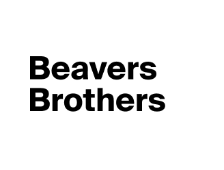 Beavers Brothers: UX/UI design, web, app and game development